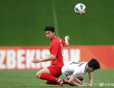 九州娱乐-澳洲球队表现出色，成功晋级淘汰赛(澳洲球队退出亚冠)
